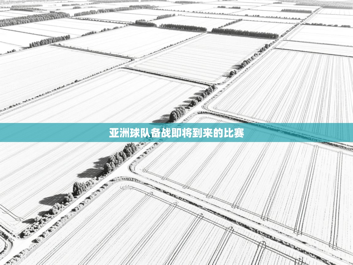 亚洲球队备战即将到来的比赛
