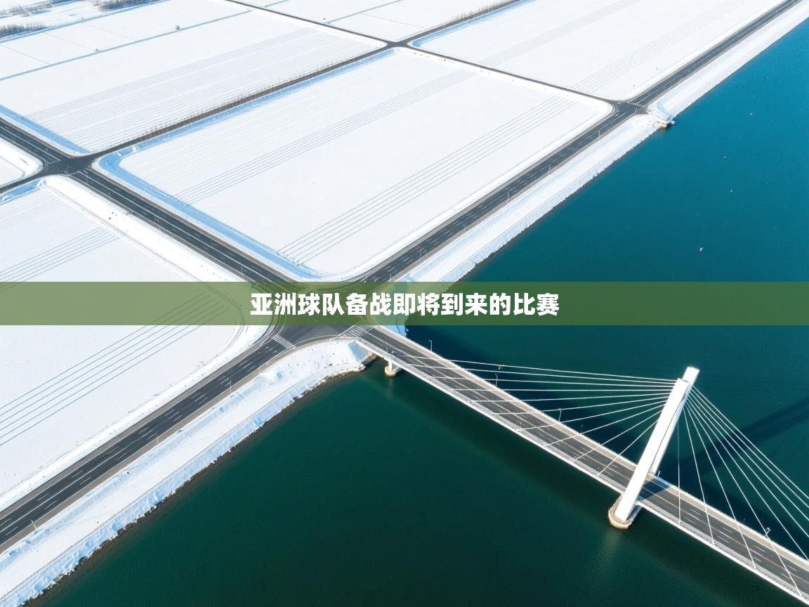 亚洲球队备战即将到来的比赛  第2张