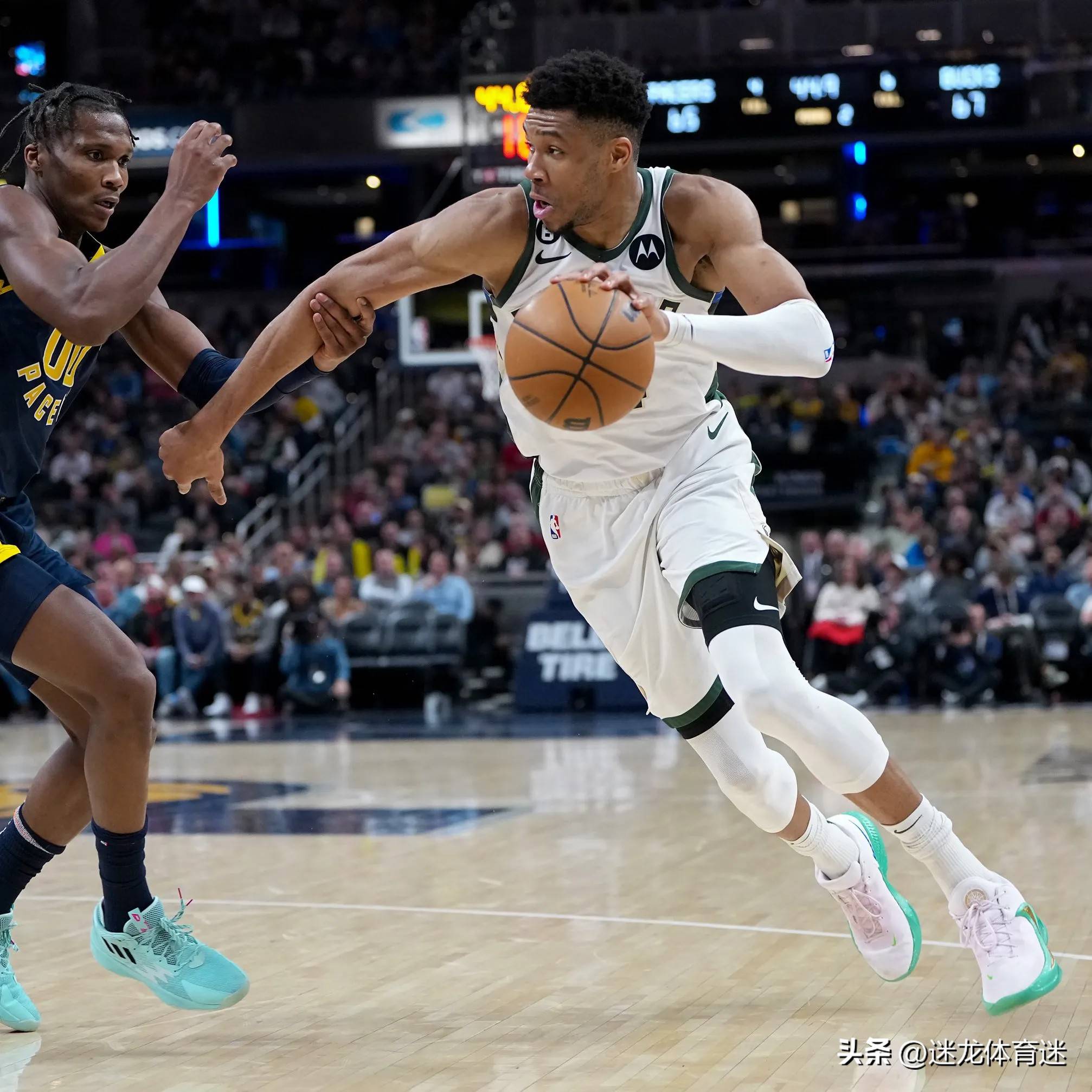 雄鹿大胜尼克斯，字母哥发挥出色